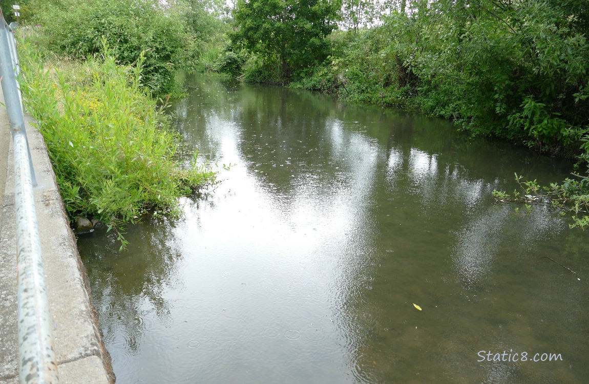 Looking up the creek