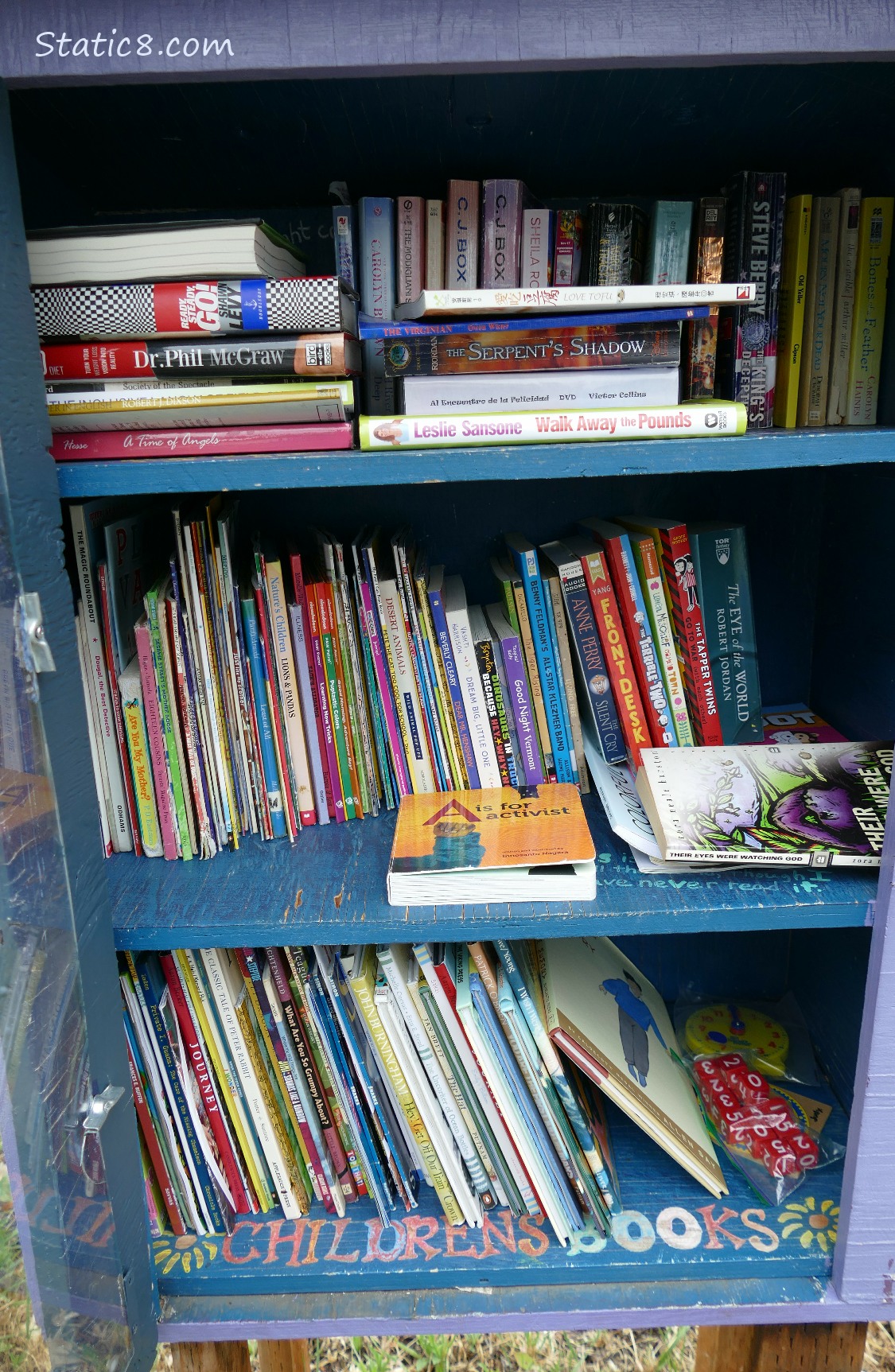 Little Free Library books