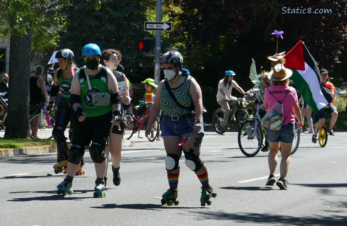 Roller Derby girls skating on the street