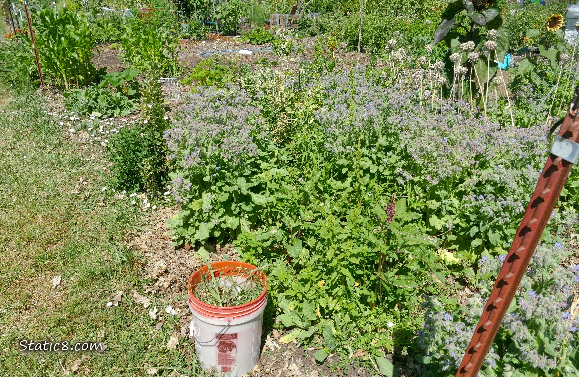 Garden plot