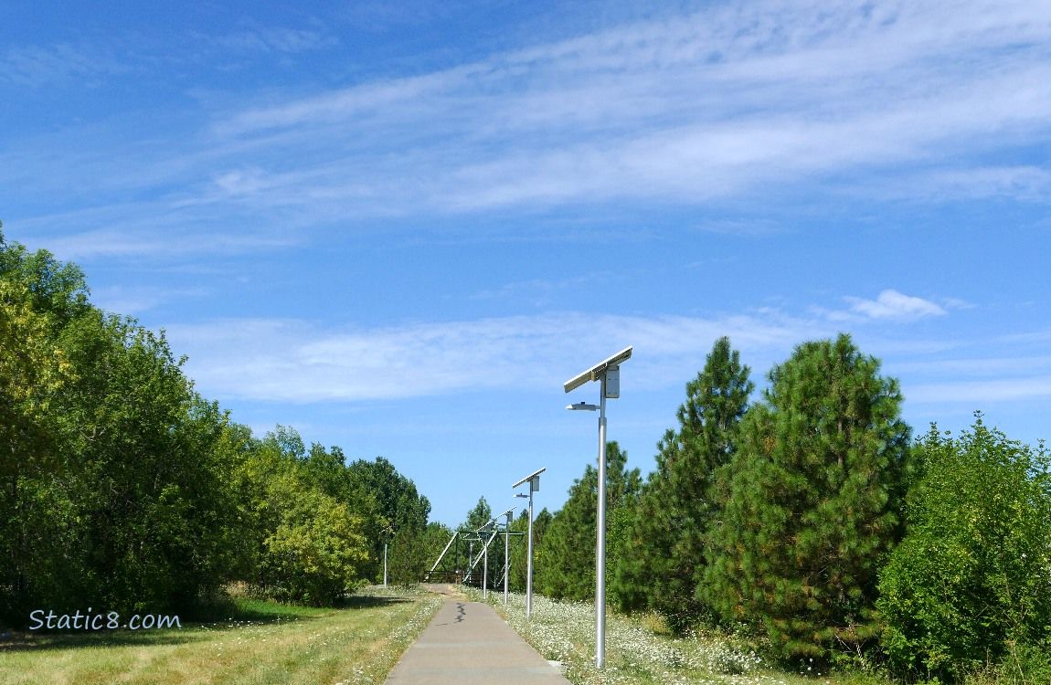 Blue sky over the bike path lined with trees on either side