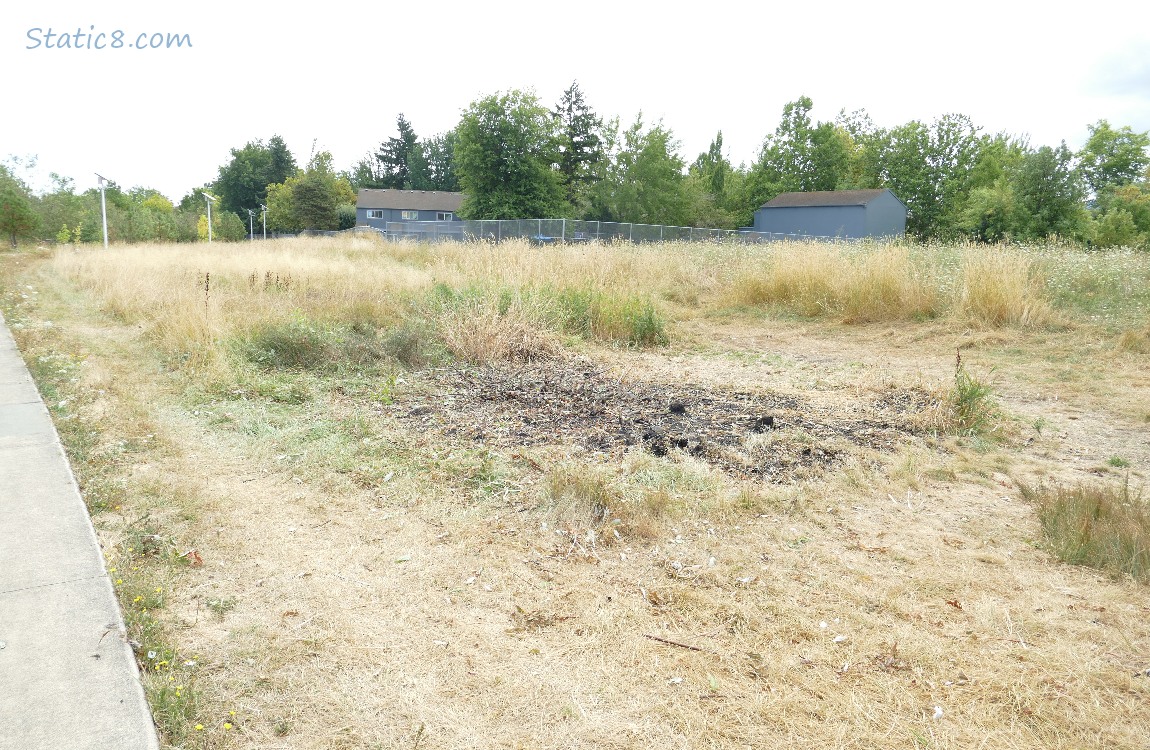 burned area next to the bike path