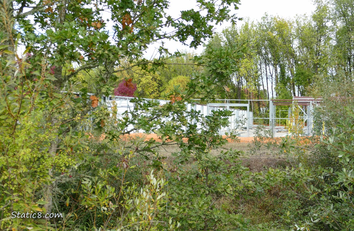Bare bones of a building behing constructed past the trees