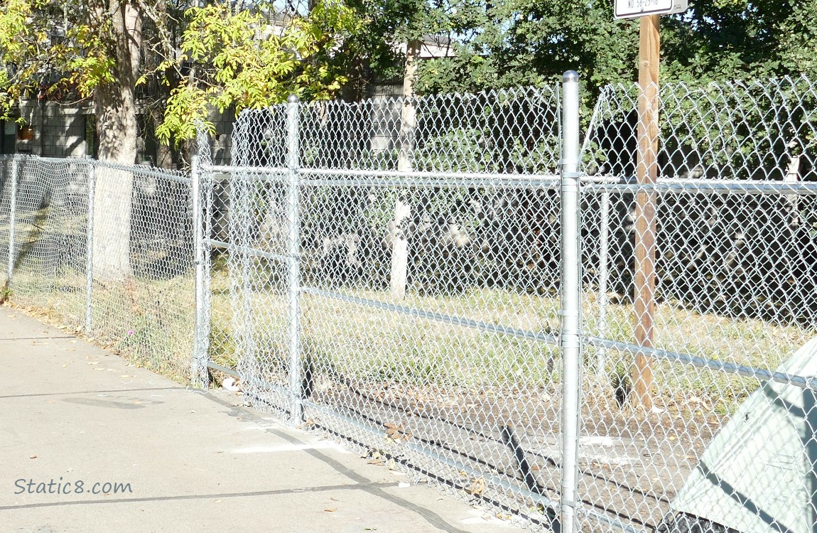 Chain link fence