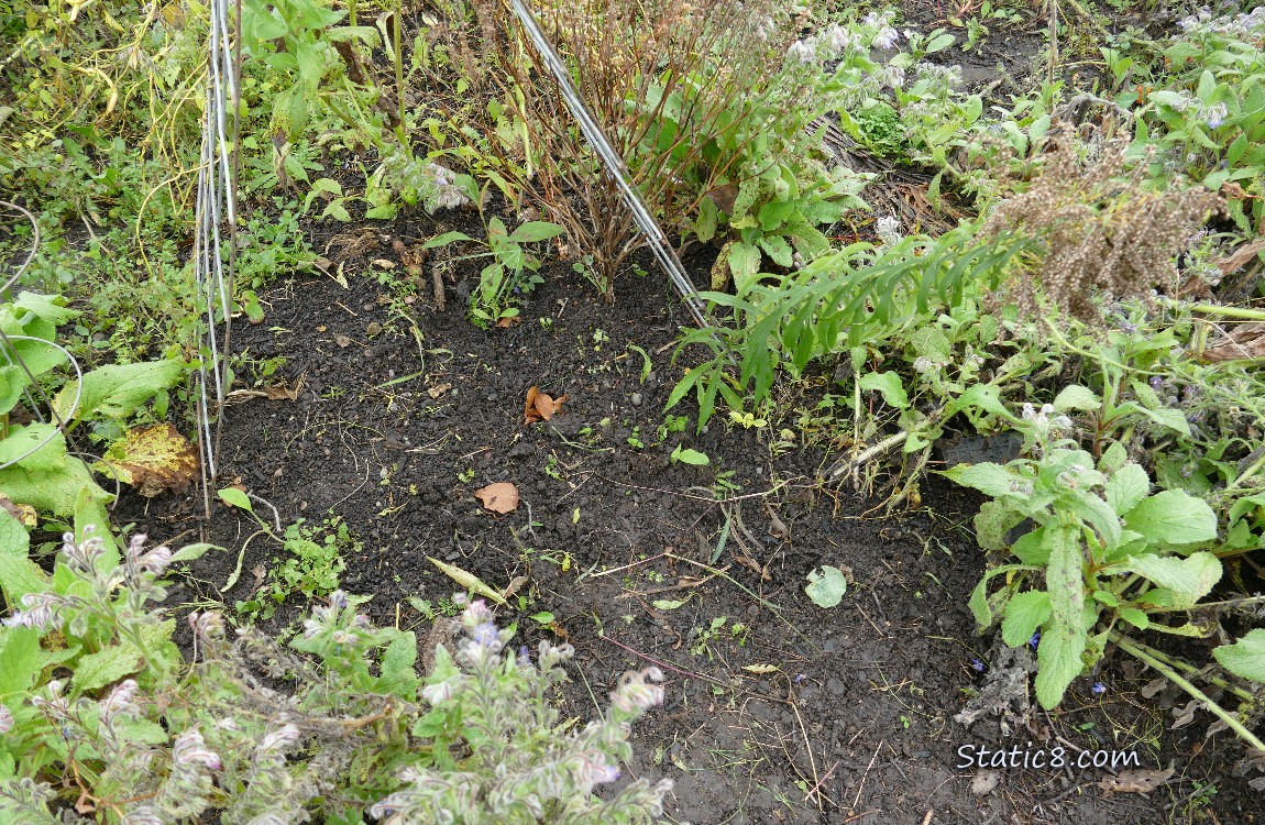 Garden plot