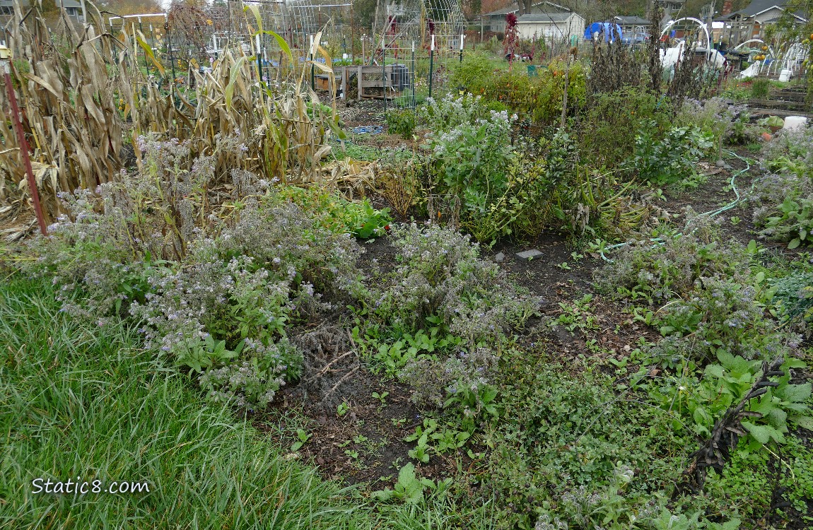 Garden plot