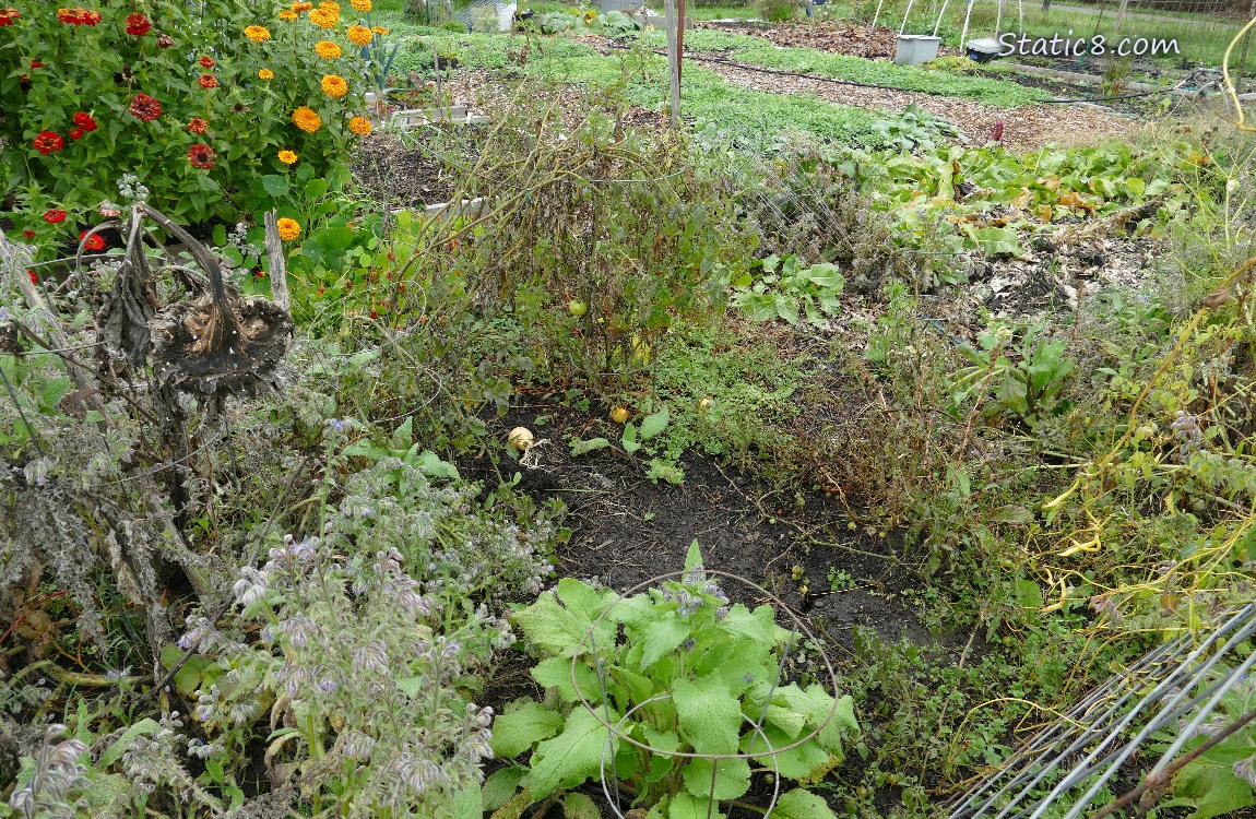 Garden plot
