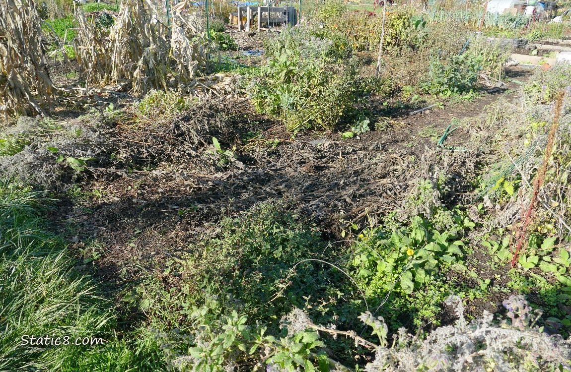 Garden plot