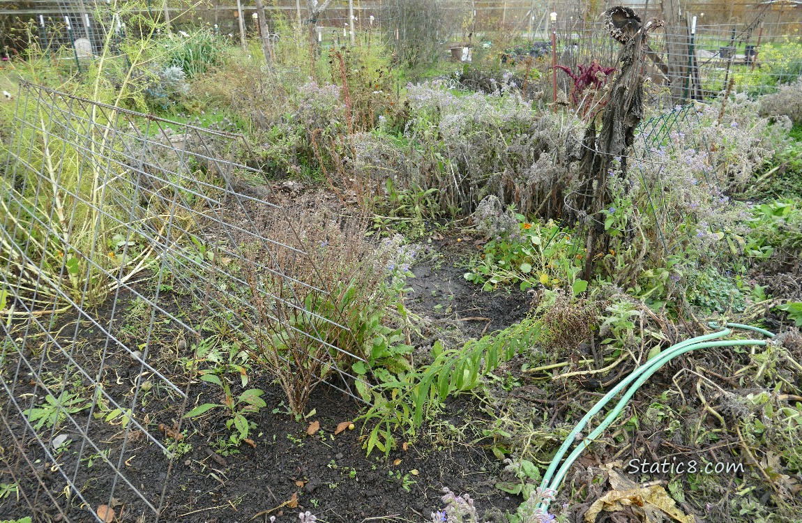 Garden plot
