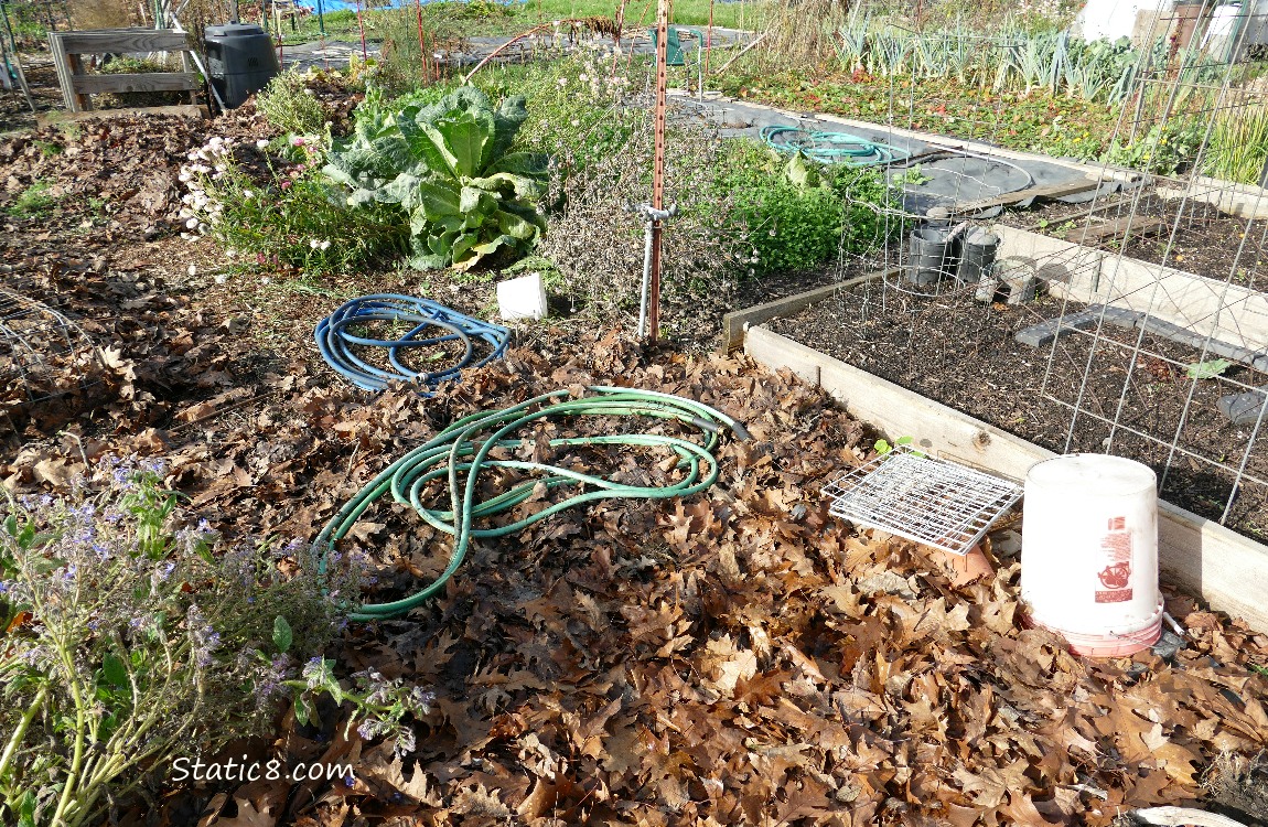 Garden plot