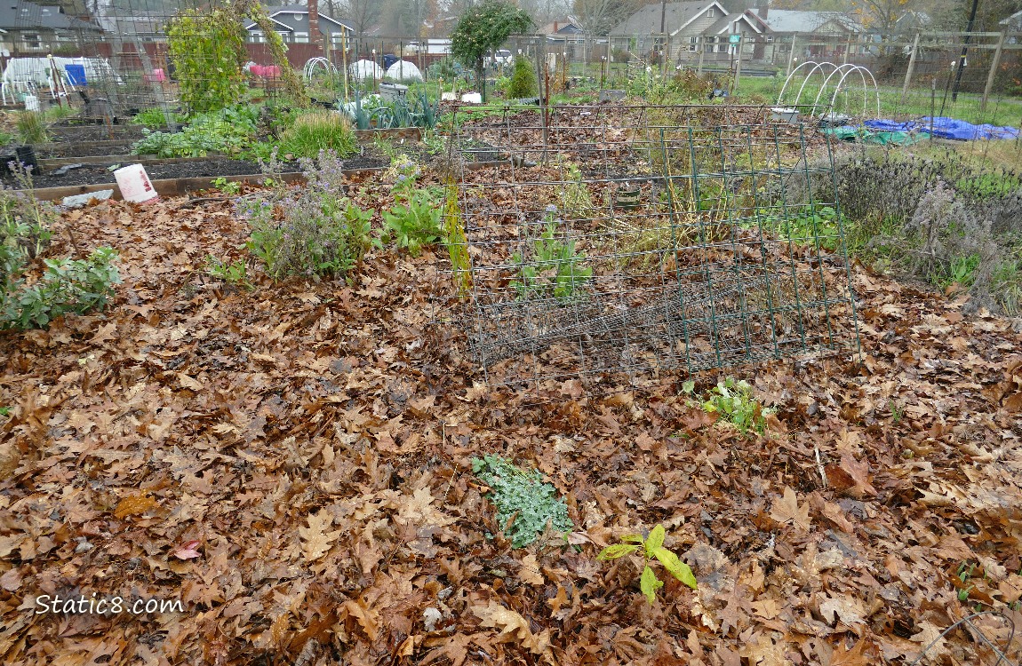 Garden plot
