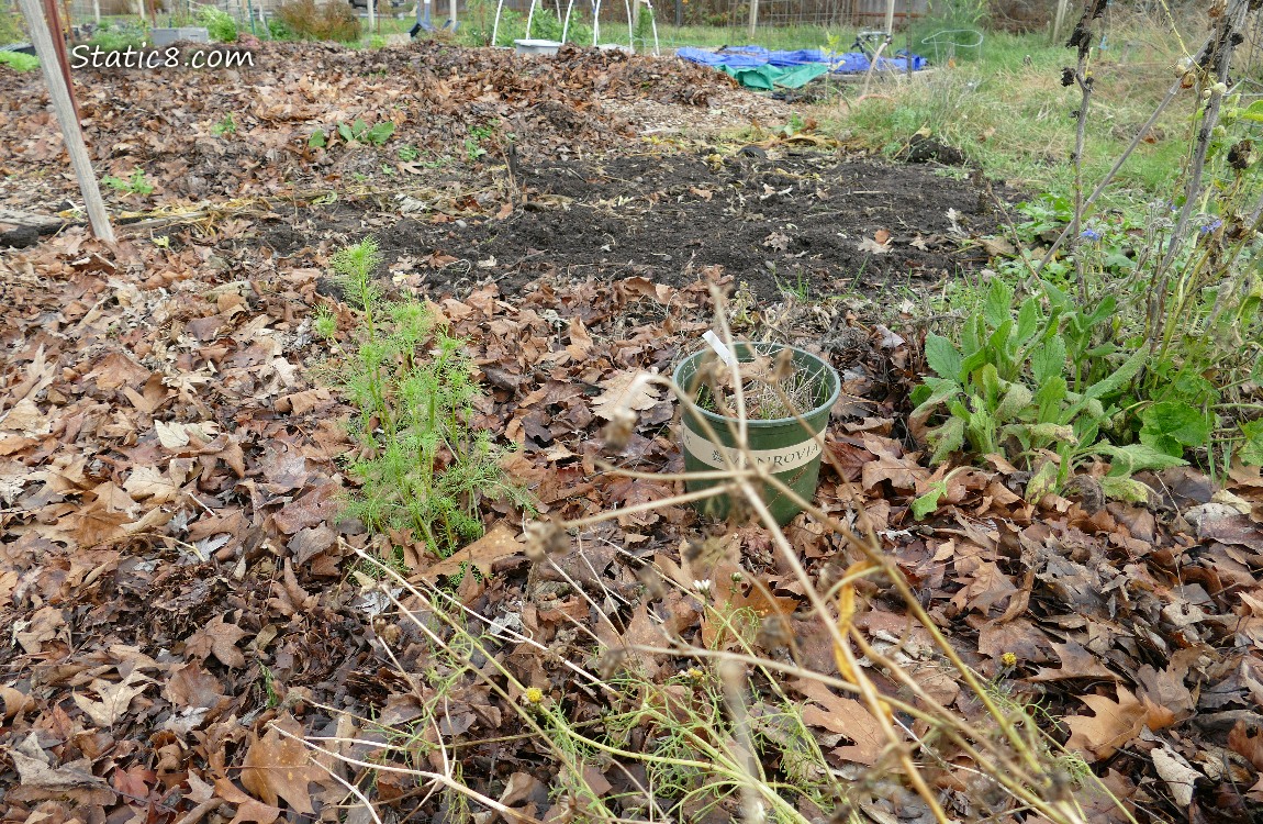 Garden plot
