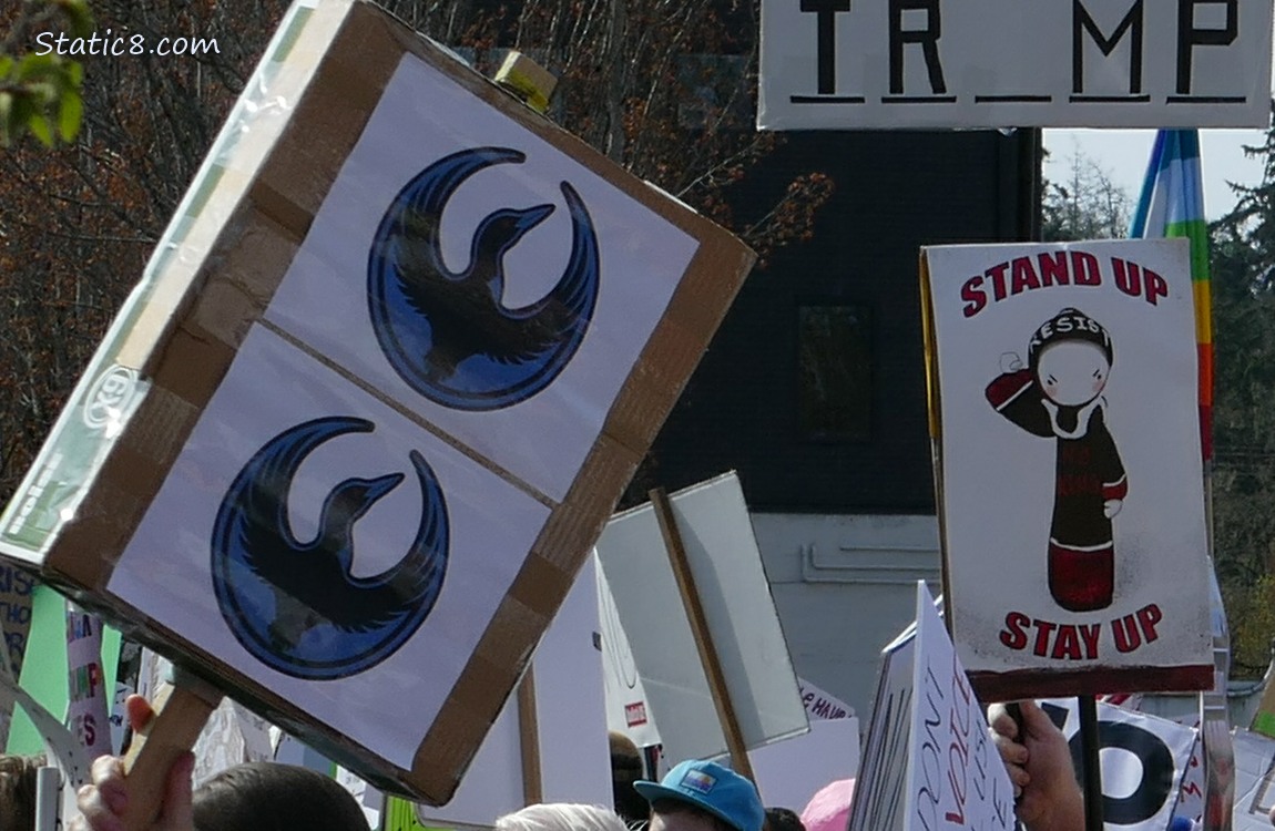 Protest sign with the Rebel Loon