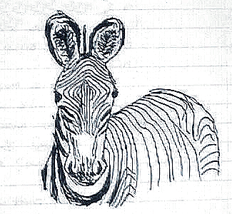 Notebook Sketch of Zebra