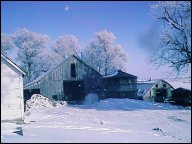 Winter barns