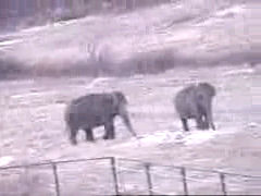 Minnie and Lottie, 2 Feb