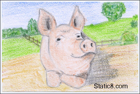 happy pig drawing