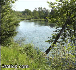 Looking south, up the Willamet