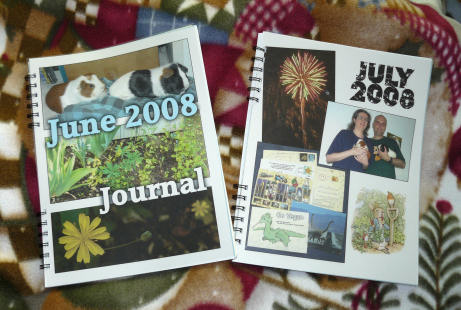 june and july journals