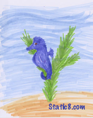 sea horse