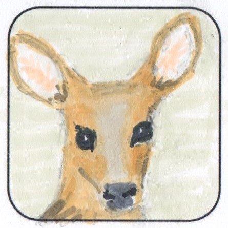 August Doodle Square drawing of a deers face