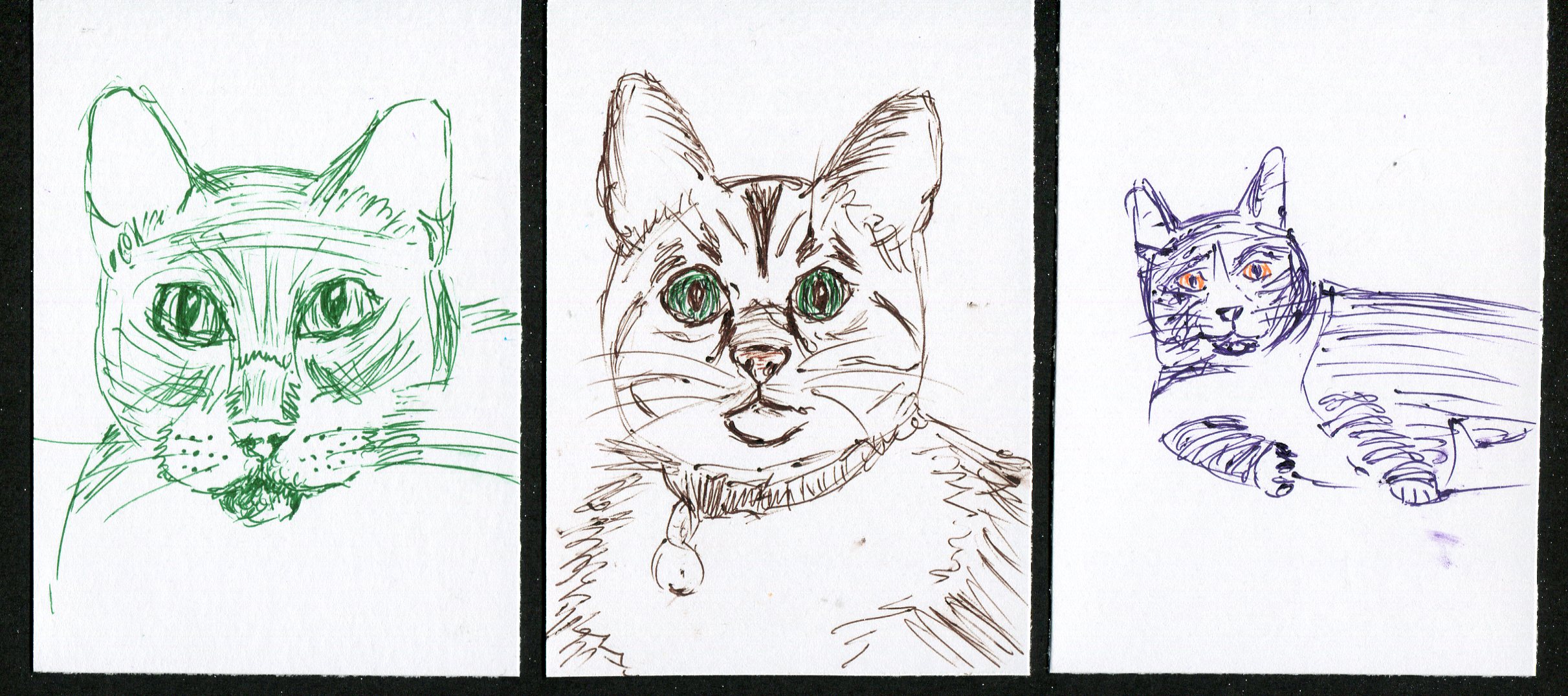 Kitties! Cat series of drawings