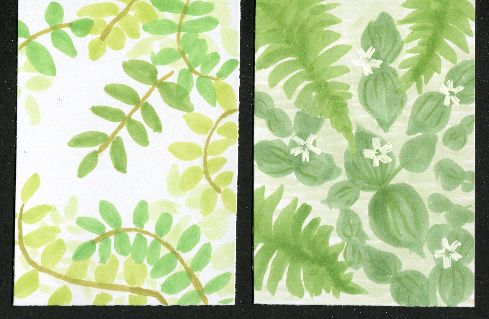 Leaf designs Two botanical illustrations