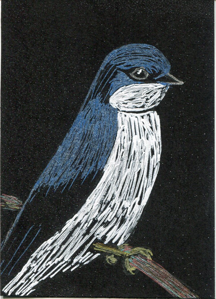 Tree Swallow Drawing on black of a Tree Swallow