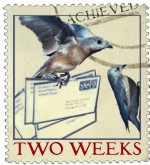 2 Weeks of LetterMo Mail 2 Weeks of LetterMo Mail