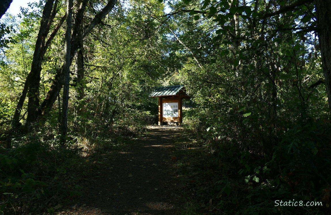 Kiosk on the trail surrounded by forest