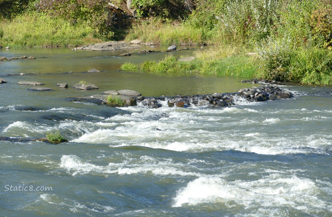 River water flowing around rocks