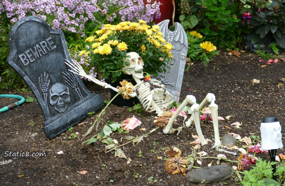 Skeleton and grave marker, Halloween decorations