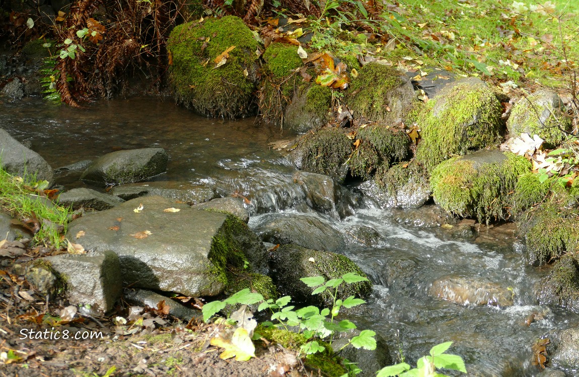 Small waterfall surrounded by mossy rocks