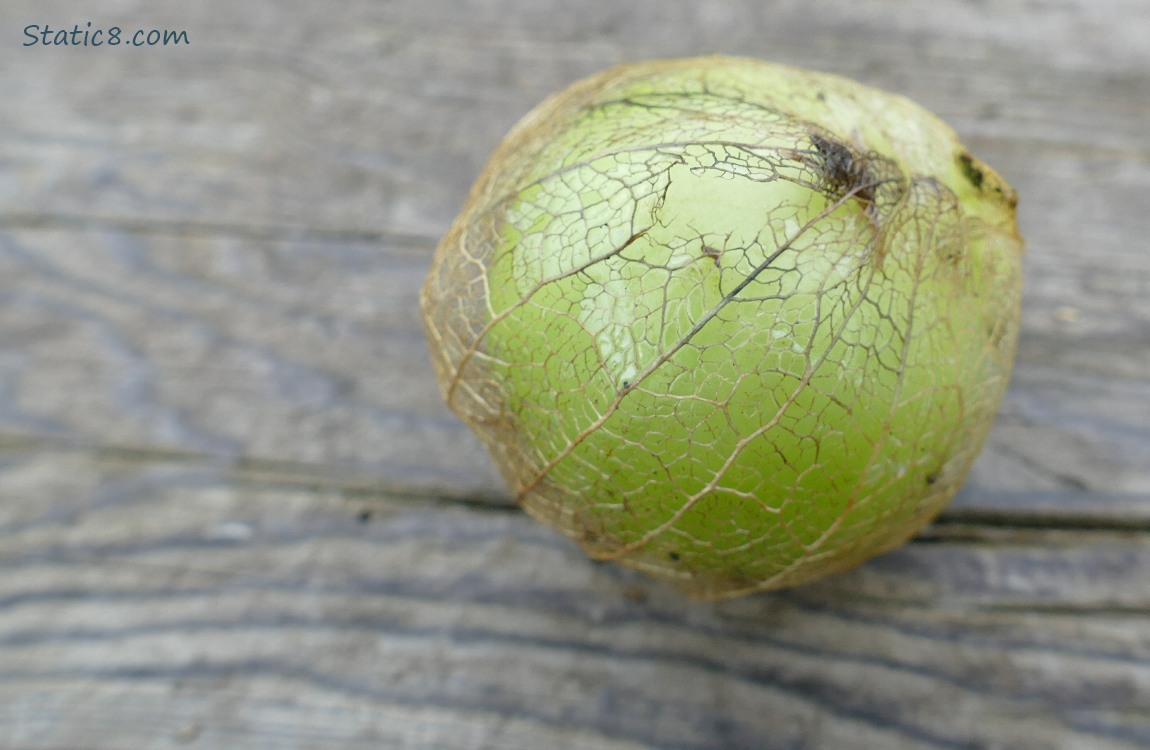 Tomatillo on a wood board