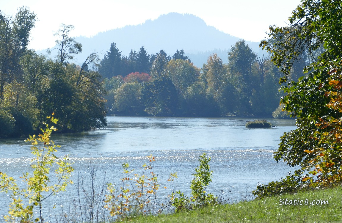 Upriver with Skinner Butte in the distance