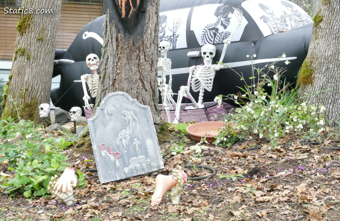 Halloween Decorations, skeletons and a hurse