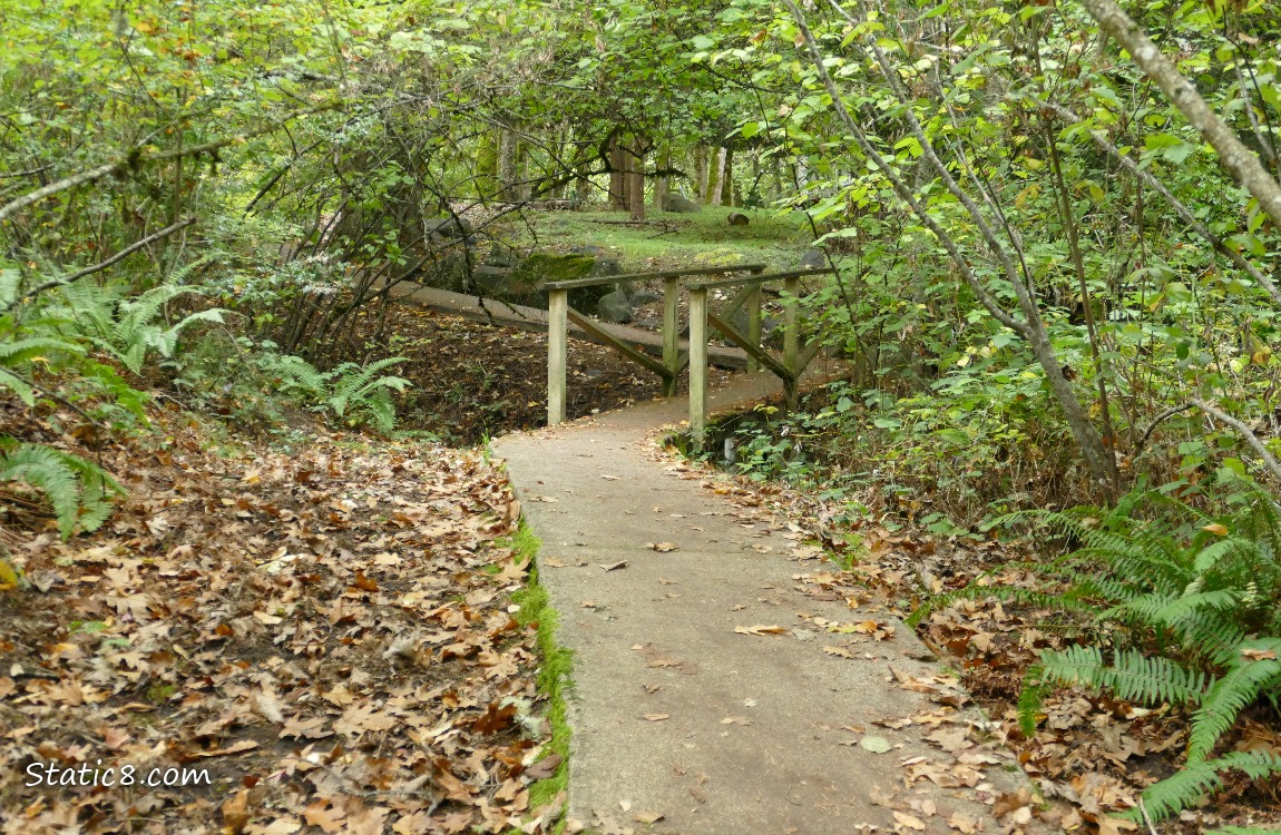 Hiking trail thru the trees, over a small bridge