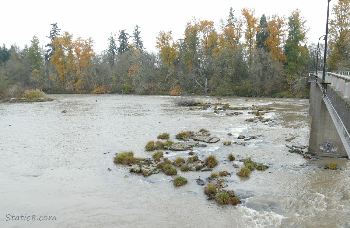 River with autumn trees on the far bank