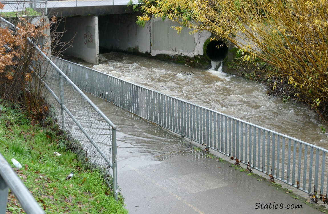 flooded bike path