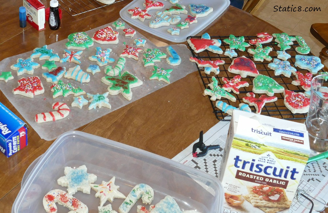 decorated sugar cookies cut into shapes!