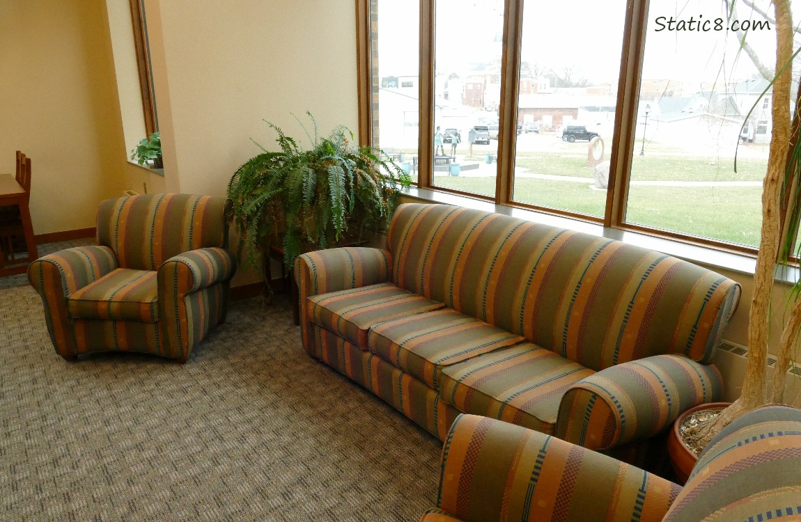 Couches and potted plants next to big windows