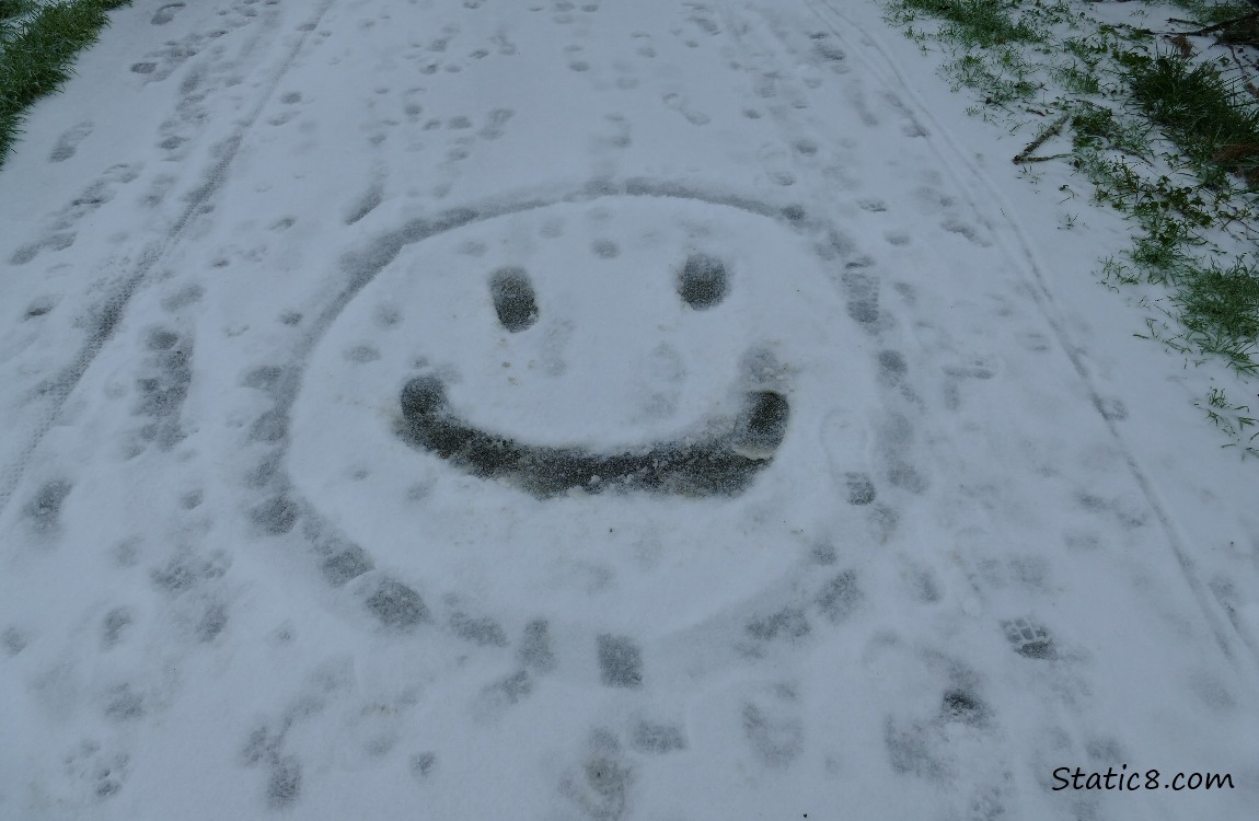 Smiley face marked in the snow on the bike path