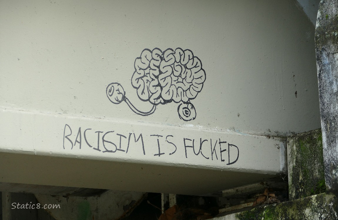 Graffiti, drawing of a brain with connected eyeballs and *Racism is fucked* written underneath