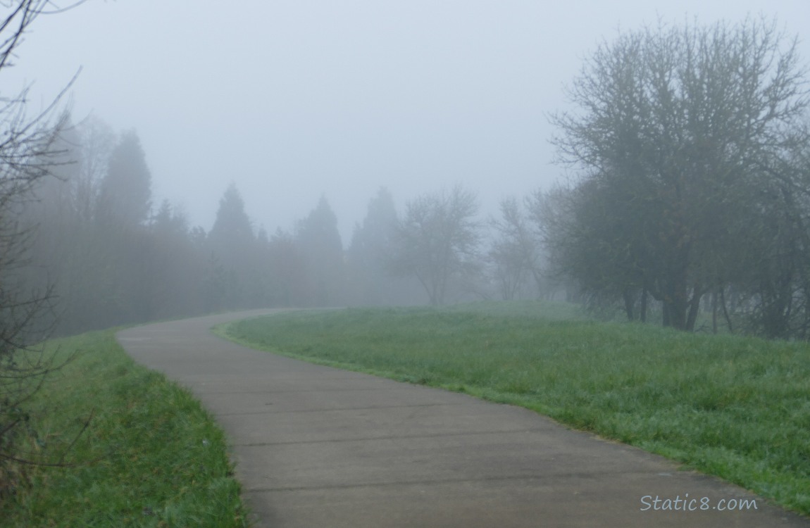 Foggy bike path