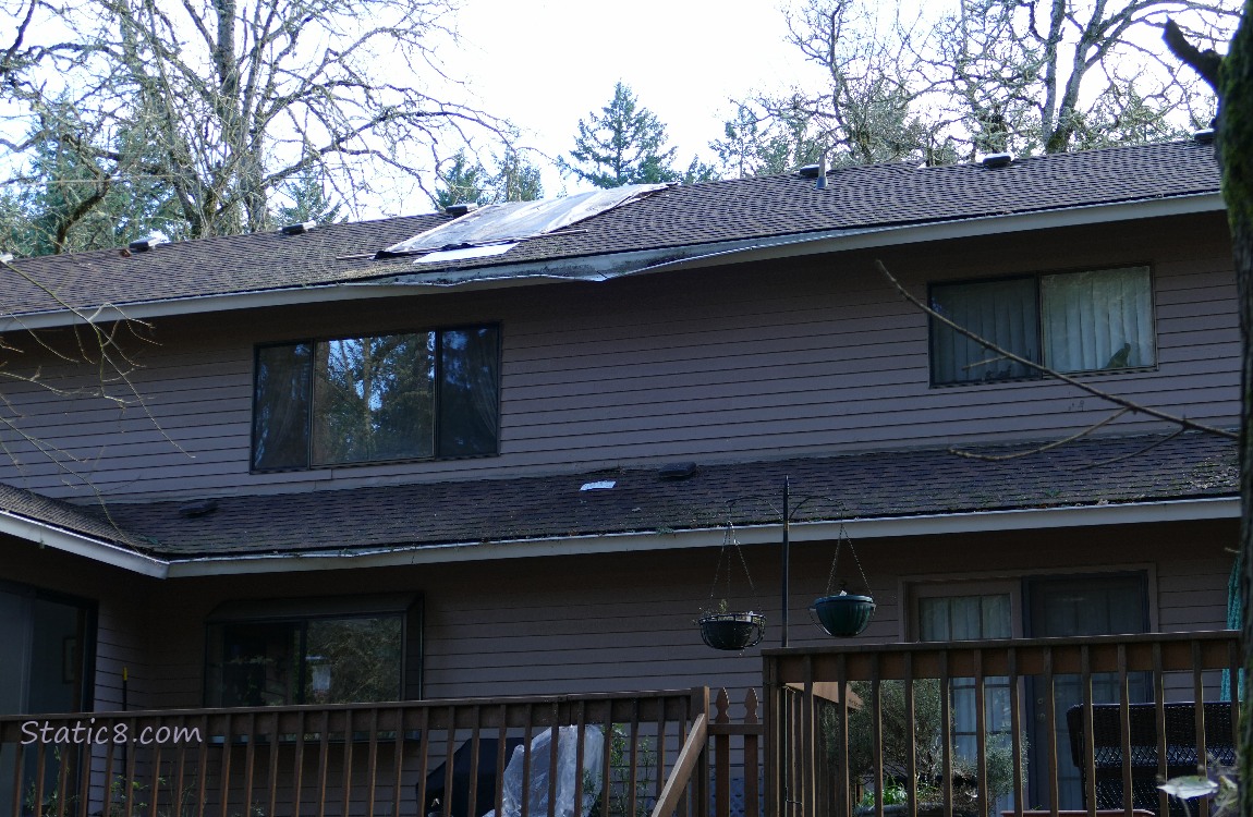 House with dented gutter and plastic over a section of roof