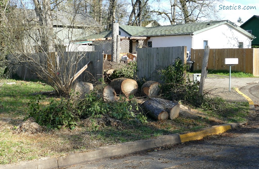 chopped up logs next to a city street, with houses in the background