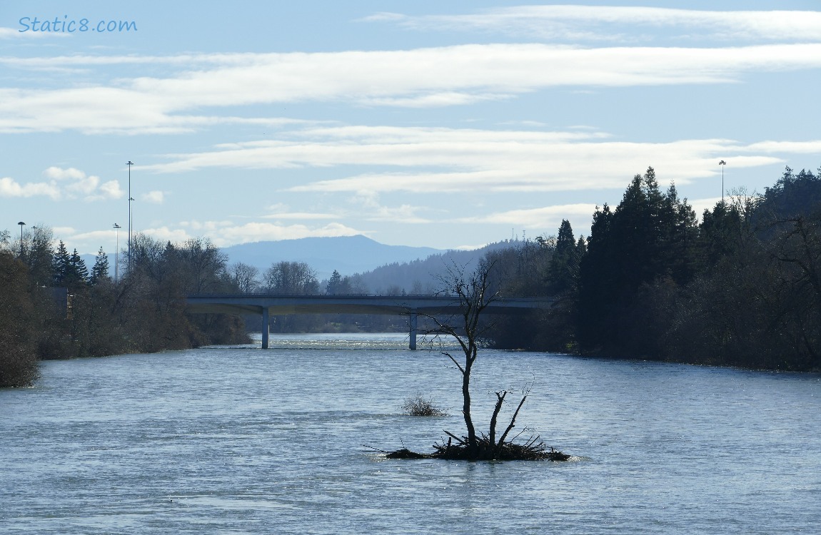 Looking upriver at the Willamette from Greenway walking bridge