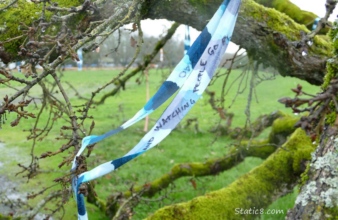 Blue streamer with writing on it
