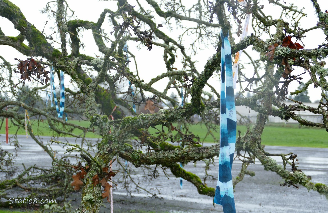 Blue streamer hanging from fallen tree limbs