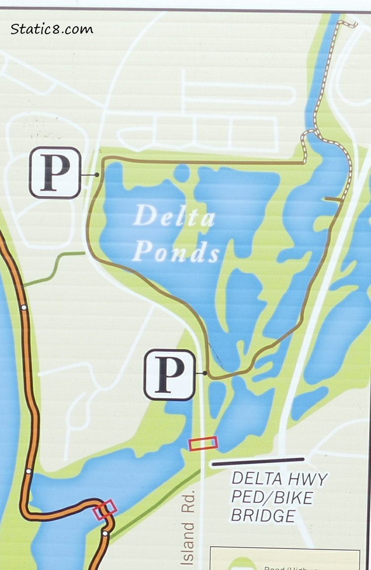 Map of the Delta Ponds